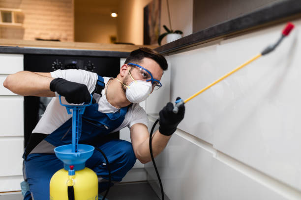 Best Mosquito Control Services  in Tooele, UT