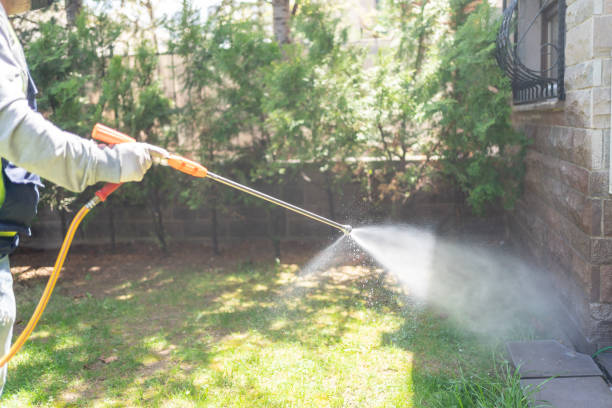 Best Best Pest Control Companies  in Tooele, UT
