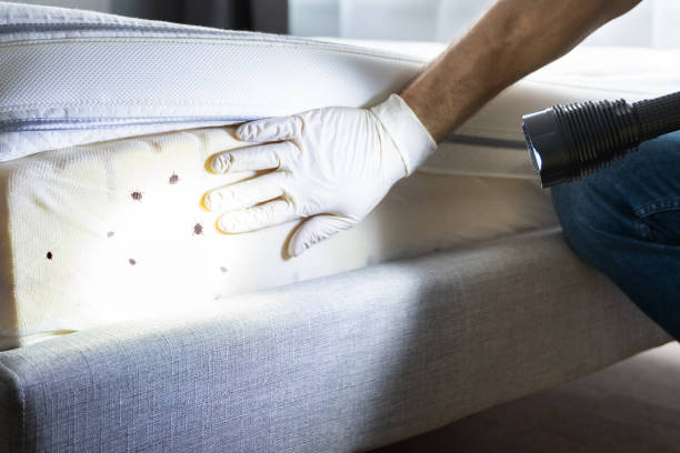 Best Pest Control for Homes  in Tooele, UT
