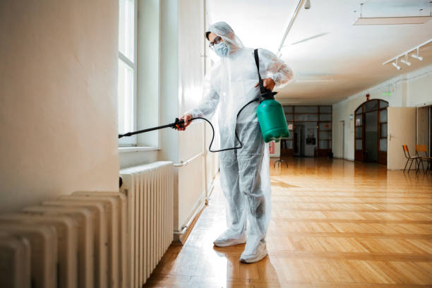 Best Termite Control Services  in Tooele, UT