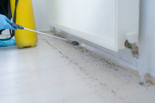 Best Exterminator Services  in Tooele, UT