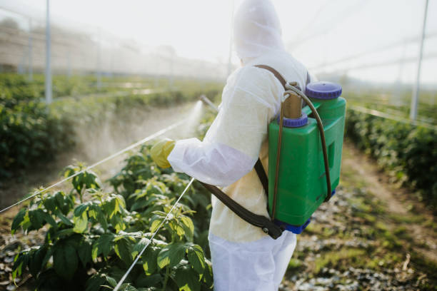 Best Residential Pest Control  in Tooele, UT